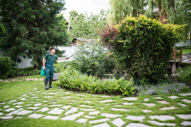 Best Lawn Maintenance Plans  in East San Gabriel, CA