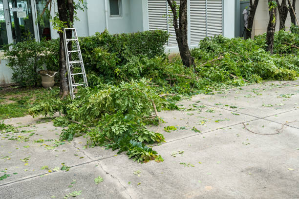 Best Storm Damage Tree Cleanup  in East San Gabriel, CA