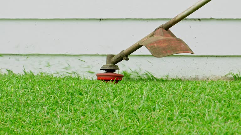 Best Utility Line Clearance  in East San Gabriel, CA